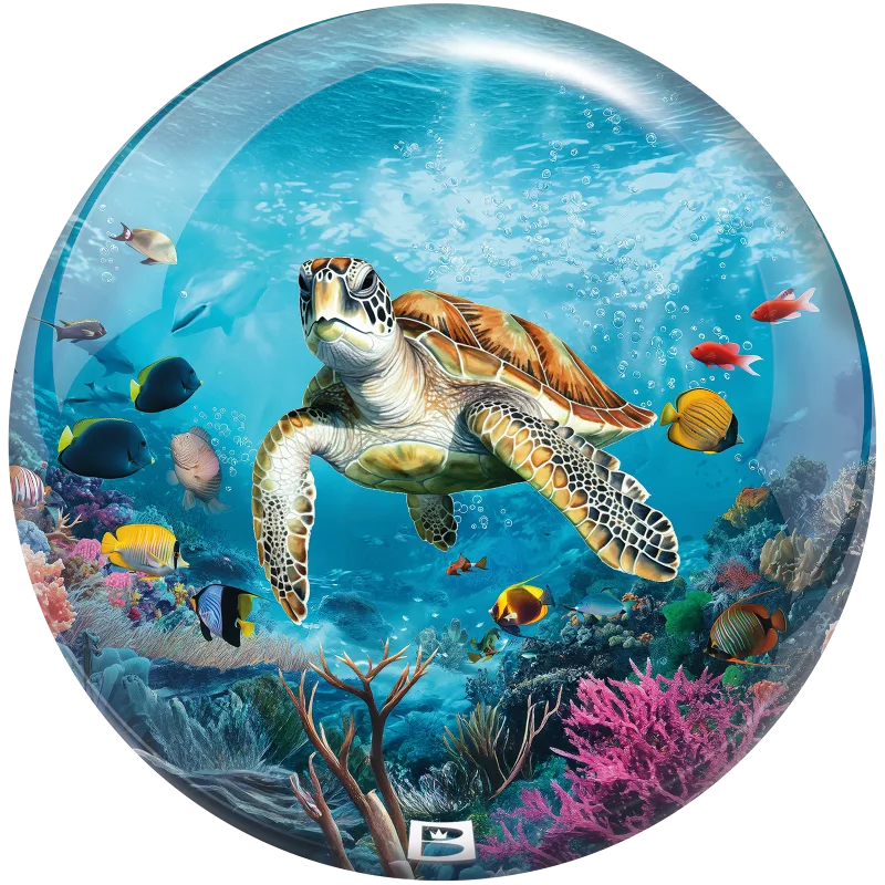 Brunswick Sea Turtle