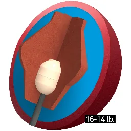 Pulse PowerCOR core in the Pulse